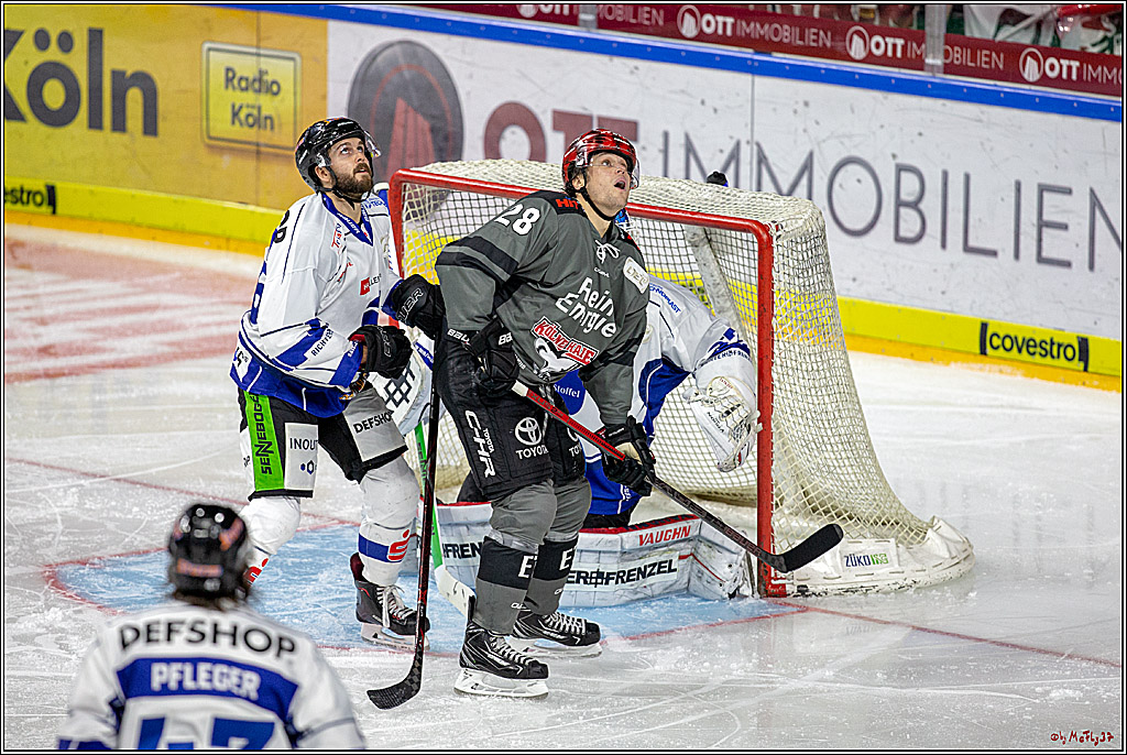 DEL; Koelner Haie - Straubing Tigers, 28.09.2018